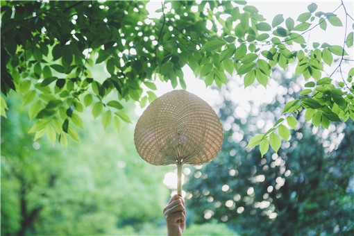 今年夏天为什么这么冷？2022年真没有夏天了吗？